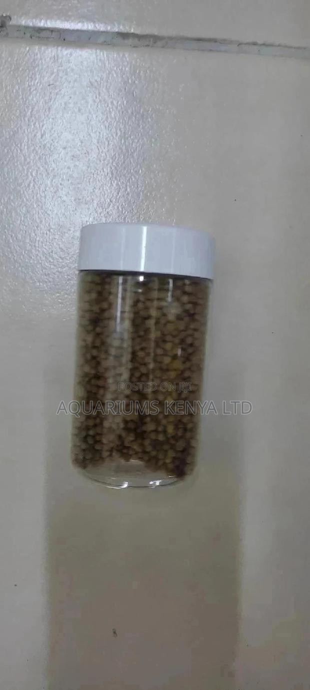 Pellets Fish Pellets, Cheeper and Affordable Fish Food