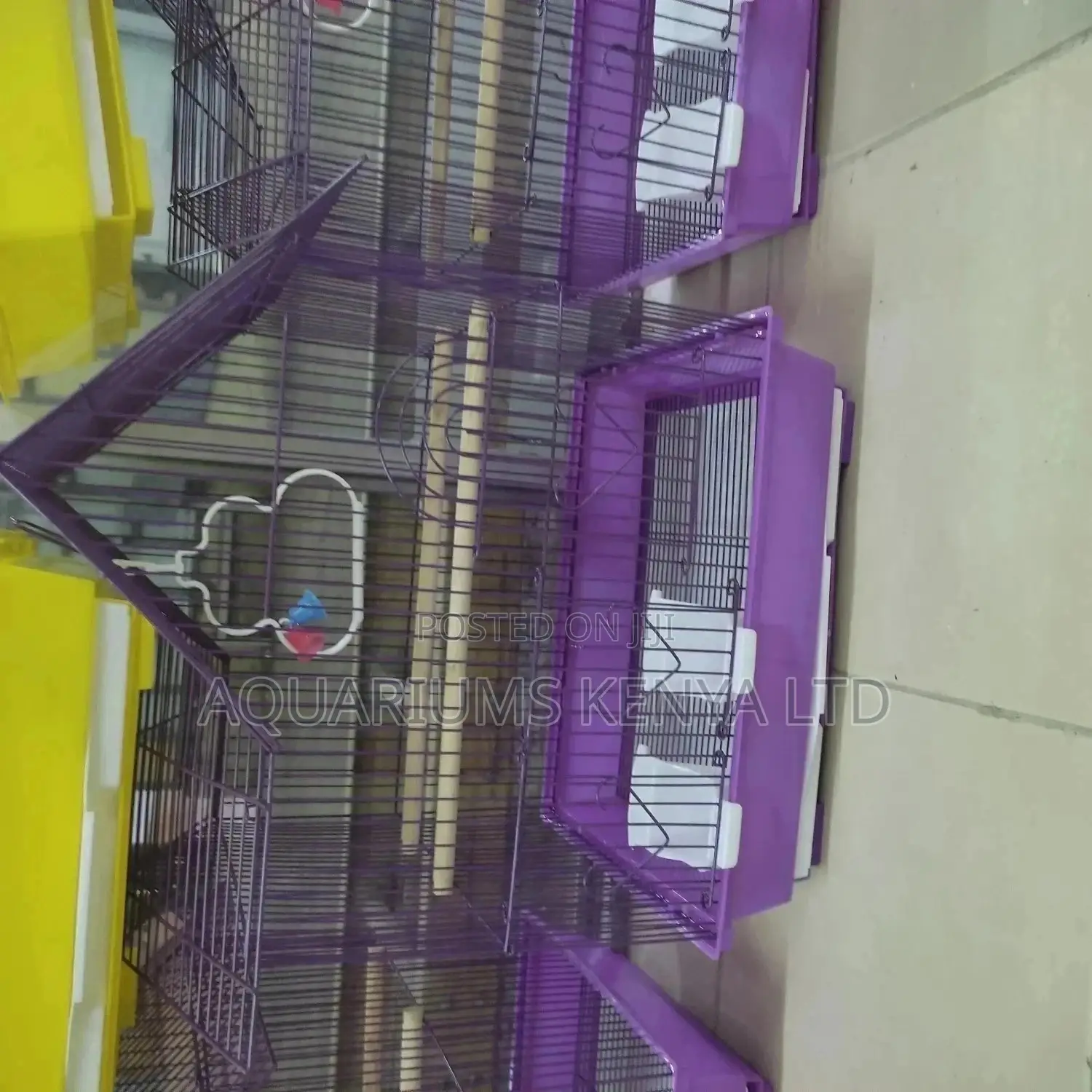 Purple Bird Cage, Small Parots