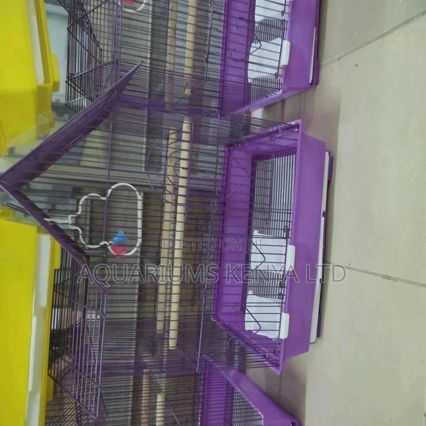 Purple Bird Cage, Small Parots - main view