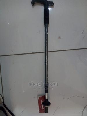 New Hiking Stick - thumbnail 2