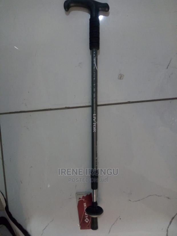 New Hiking Stick - main view