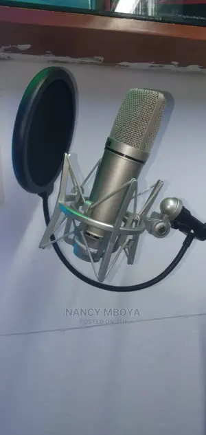 Studio Microphone With Stand