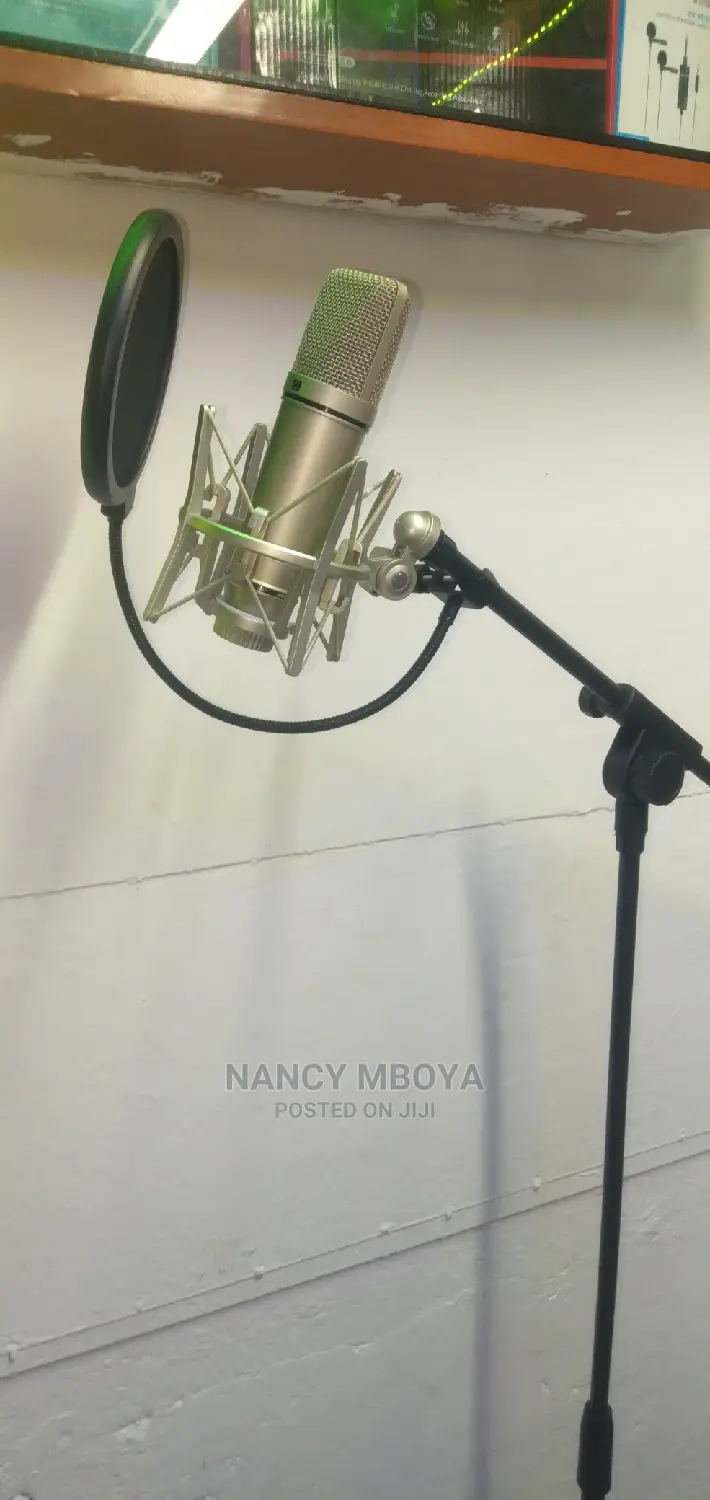 Studio Microphone With Stand