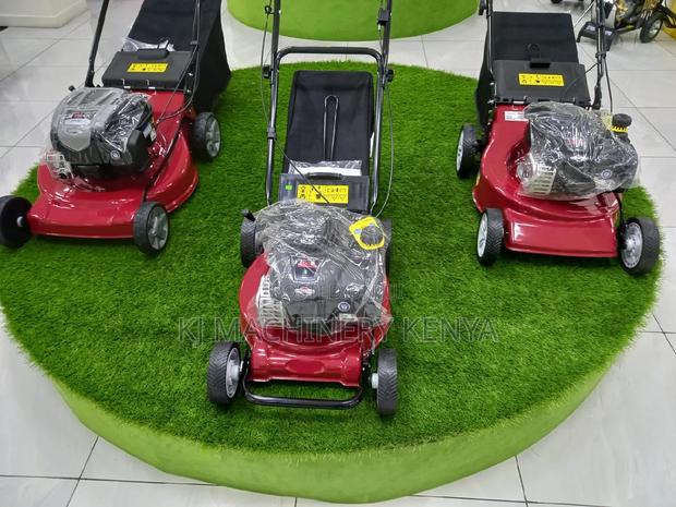 Engine Driven Self Propelled Lawn Mowers for Sale - main view
