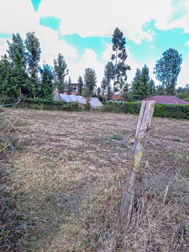 Ololua 1/4 Acre at 7m - thumbnail 2