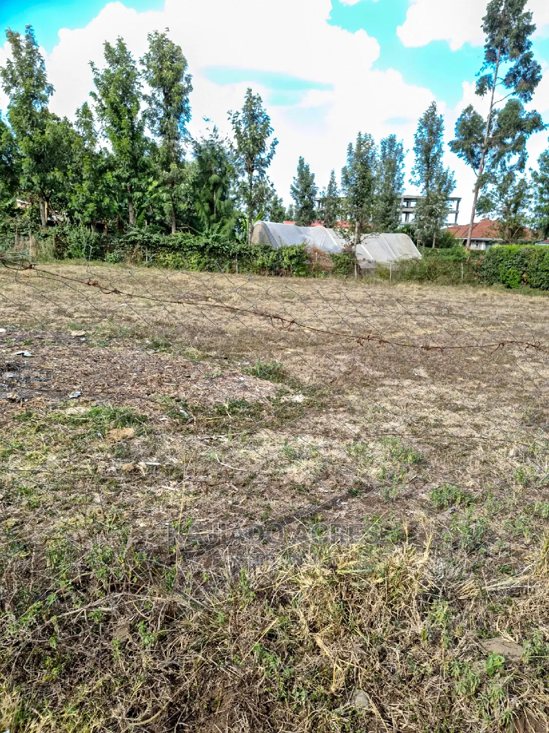 Ololua 1/4 Acre at 7m