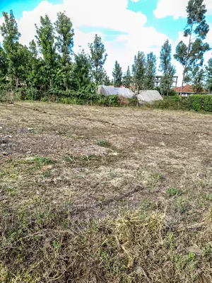 Ololua 1/4 Acre at 7m