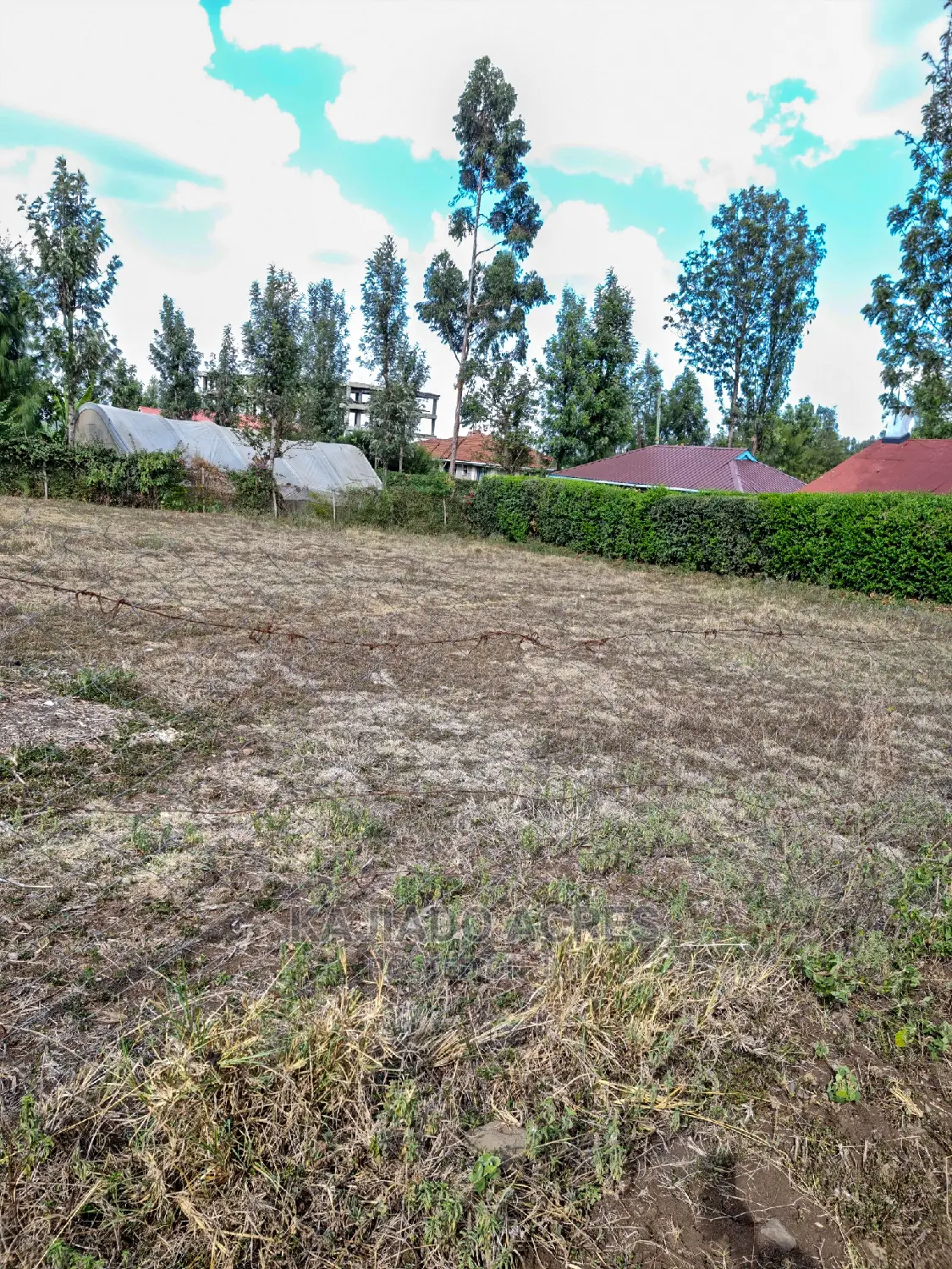 Ololua 1/4 Acre at 7m