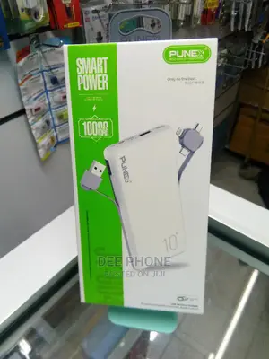 Punex Smart Power Bank