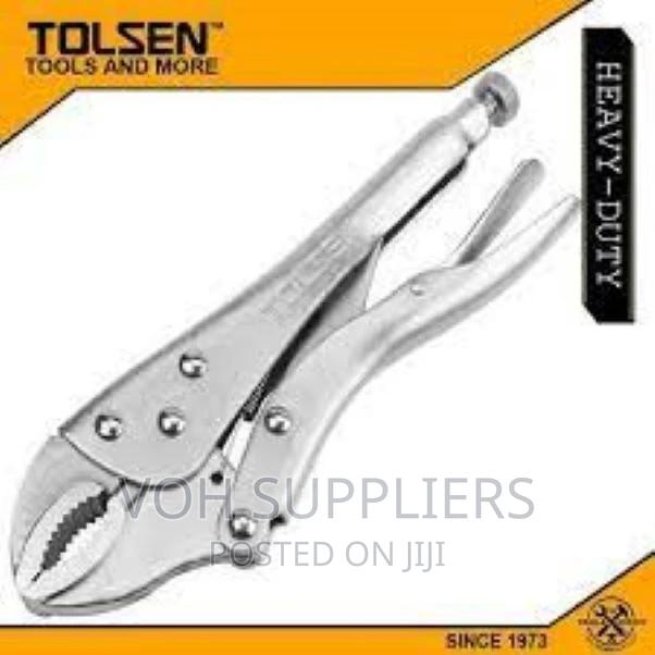 Tolsen Locking Pliers Vice Mole Grip 9 " 10" Long Nose Curv - main view