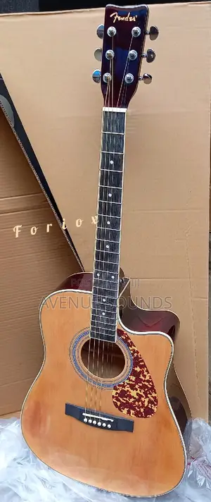 Fender Semi Guitar