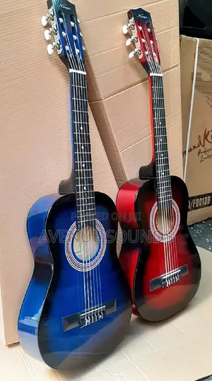 Junior Professional Guitar Classical