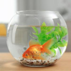 Tropical Aquarium Fish - thumbnail 2