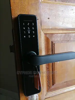 Airbnb/Office Smart Lock Password+Fingerprint