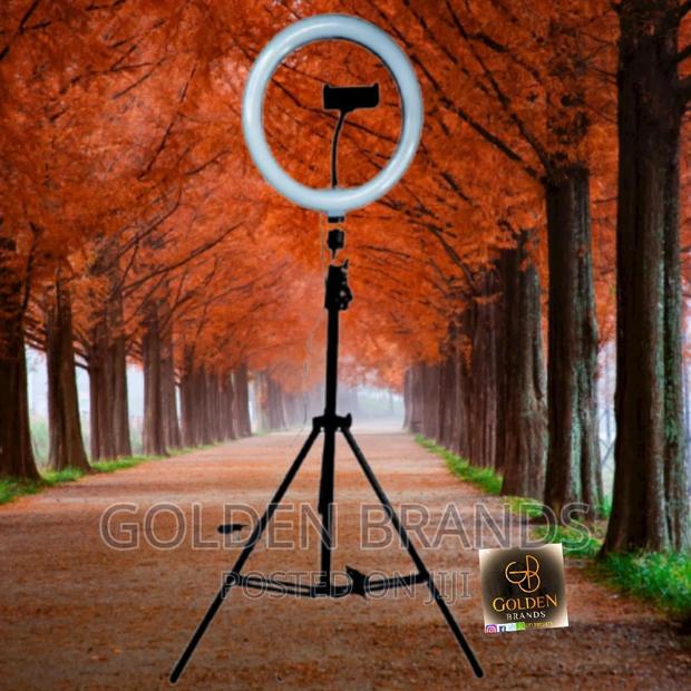 10inch Ring Light+210cm Tripod+150cm Lapel Microphone+Remote - thumbnail 10
