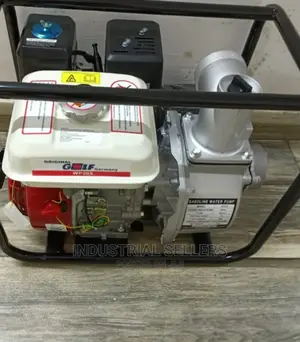 Great Establishment Golf Water Pump