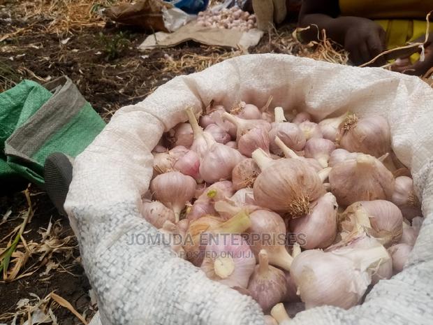 Local Garlic Whole Sale