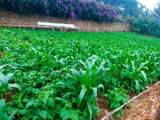 Kiambaa, 1⁄4 Acre for Sale.Next to St Joseph Catholic Church