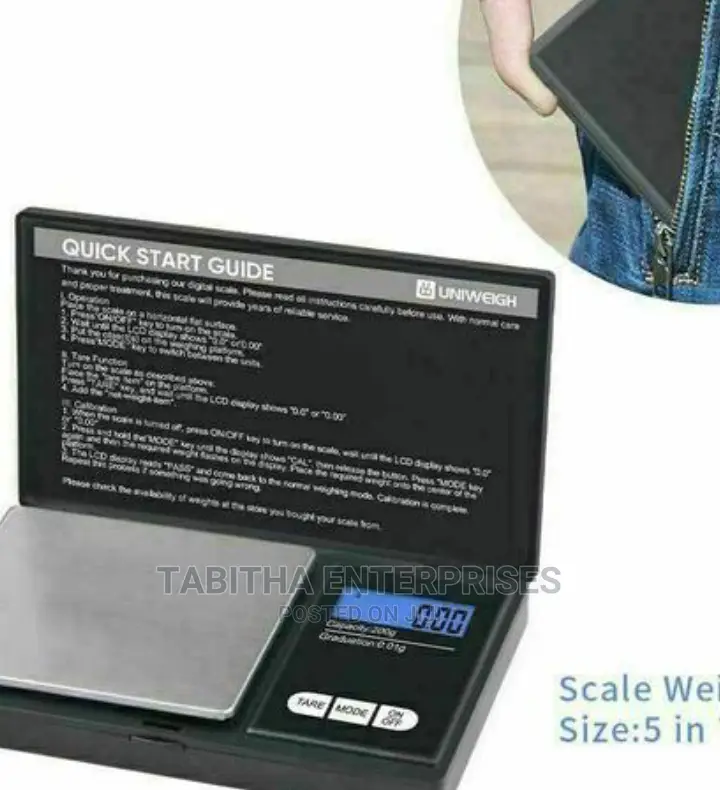 Accurate Pocket Scale