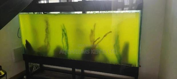 Algae Treatment Solutions - main view