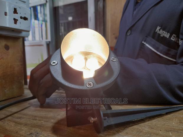 Warm White Lawn Led Light