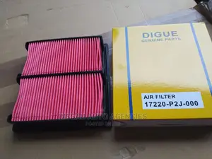 Honda CRV Air Cleaner 17220 P2j-000.