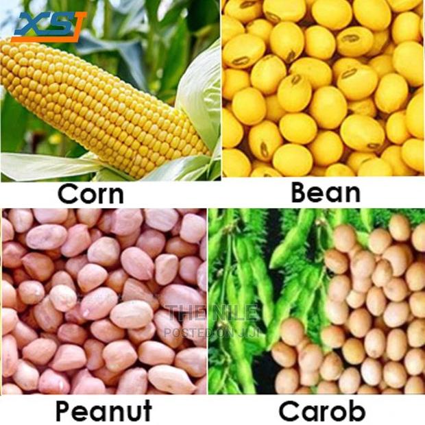 Large Corn Planter - thumbnail 2