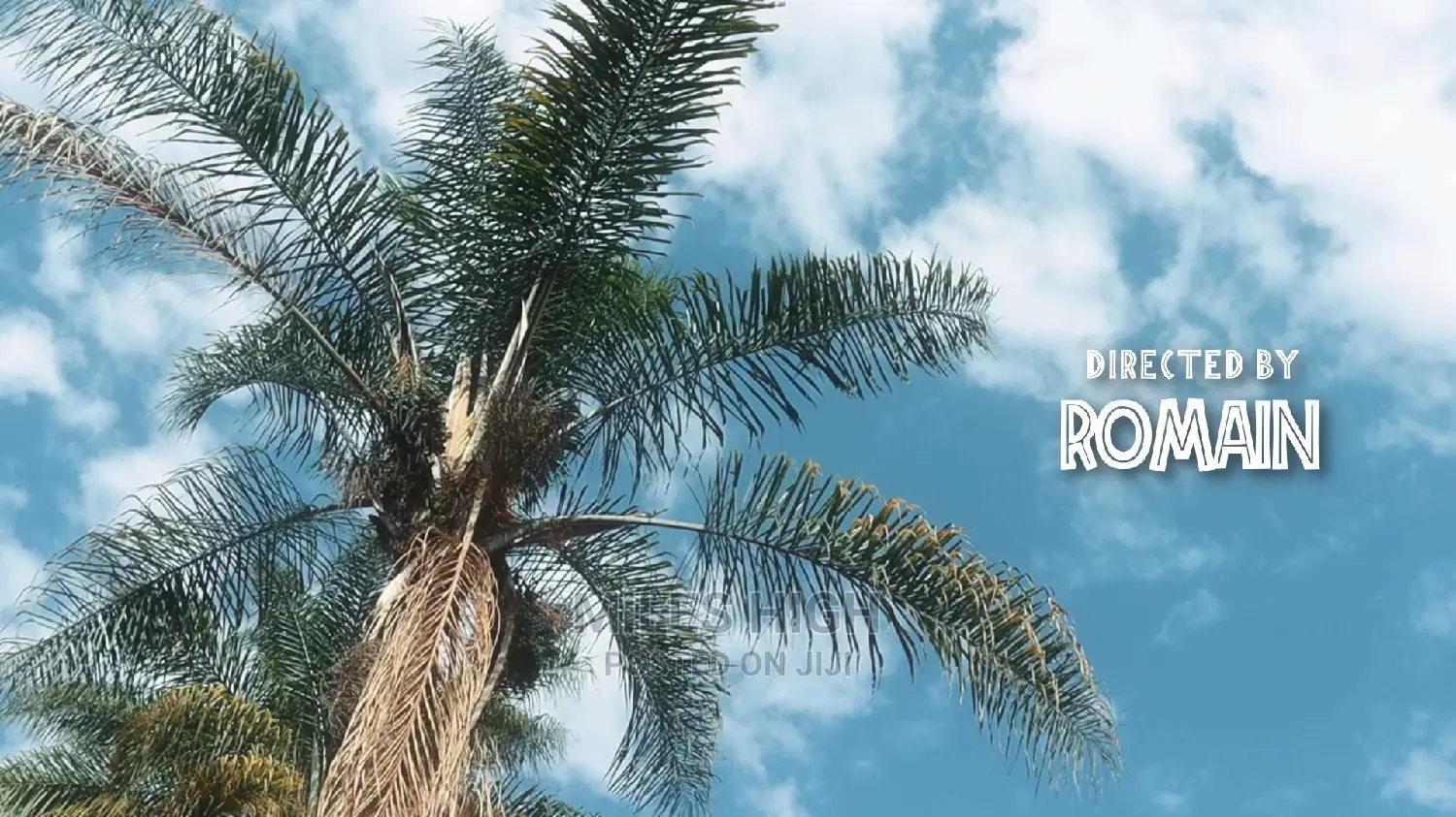 Music Video Production