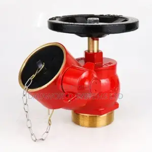 Screw Type Valve Oblique Valve Male BSP Thread 65mm