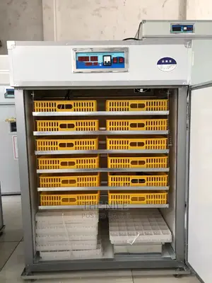 Egg Incubator