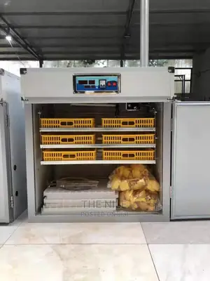 Egg Incubator