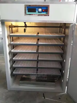Egg Incubator