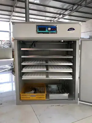 Incubators Hatching Eggs