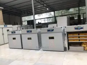 Egg Incubators Hatcher