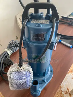 Shallow Well Submersible Pump