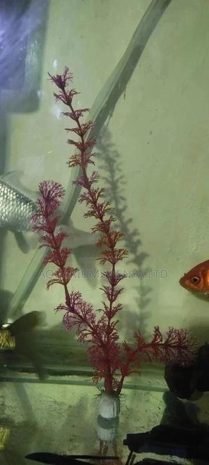Artificial Plants for Aquariums - thumbnail 2