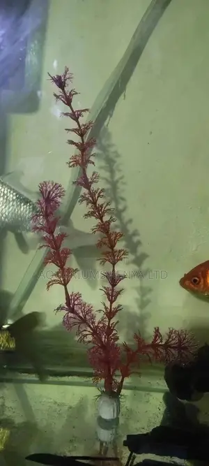 Artificial Plants for Aquariums