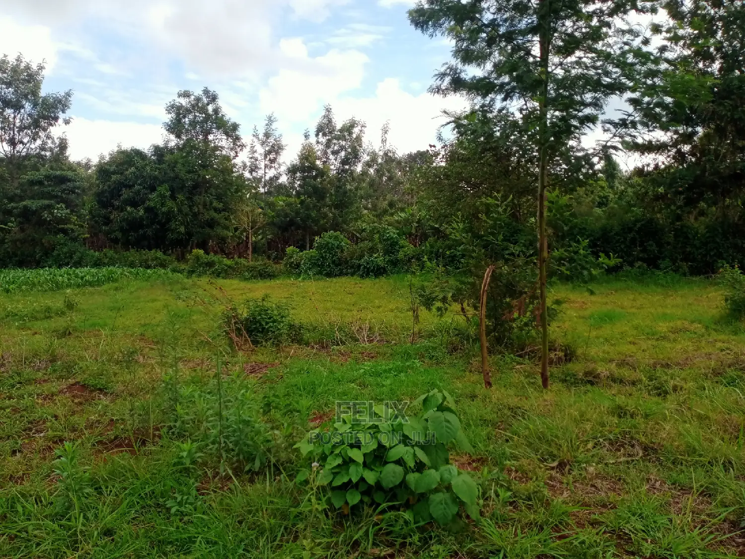 Nyeri Skuta Prime Plots