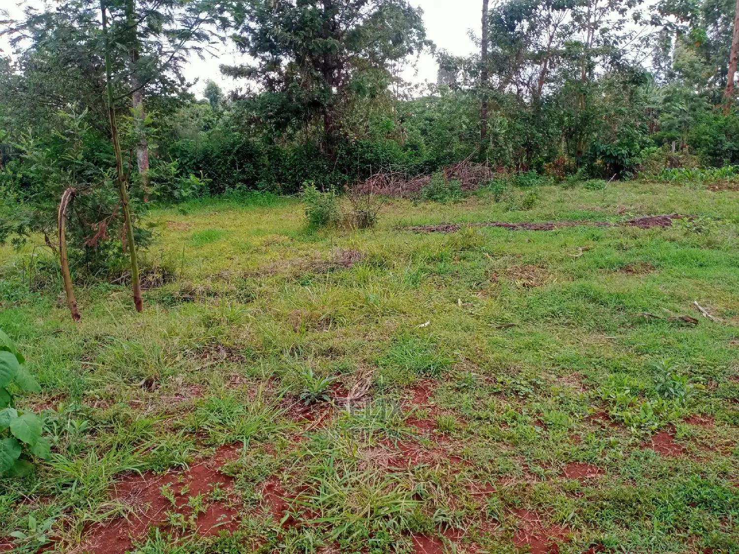 Nyeri Skuta Prime Plots