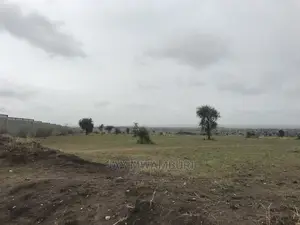 5 Acrea Land Touching Daystar Rd Arthi River