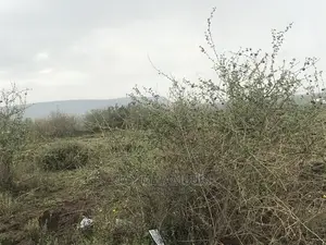 10 Acres’S Top Tank Arthi River