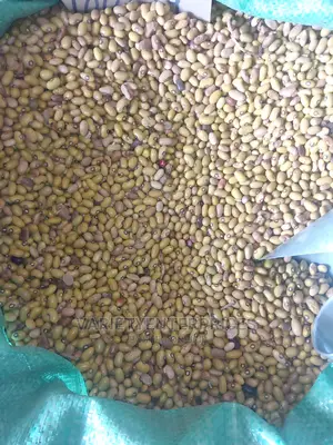 Yellow Beans