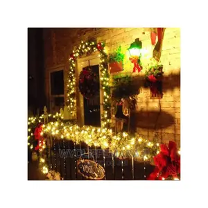 Decoration Colorful Christmas Lights