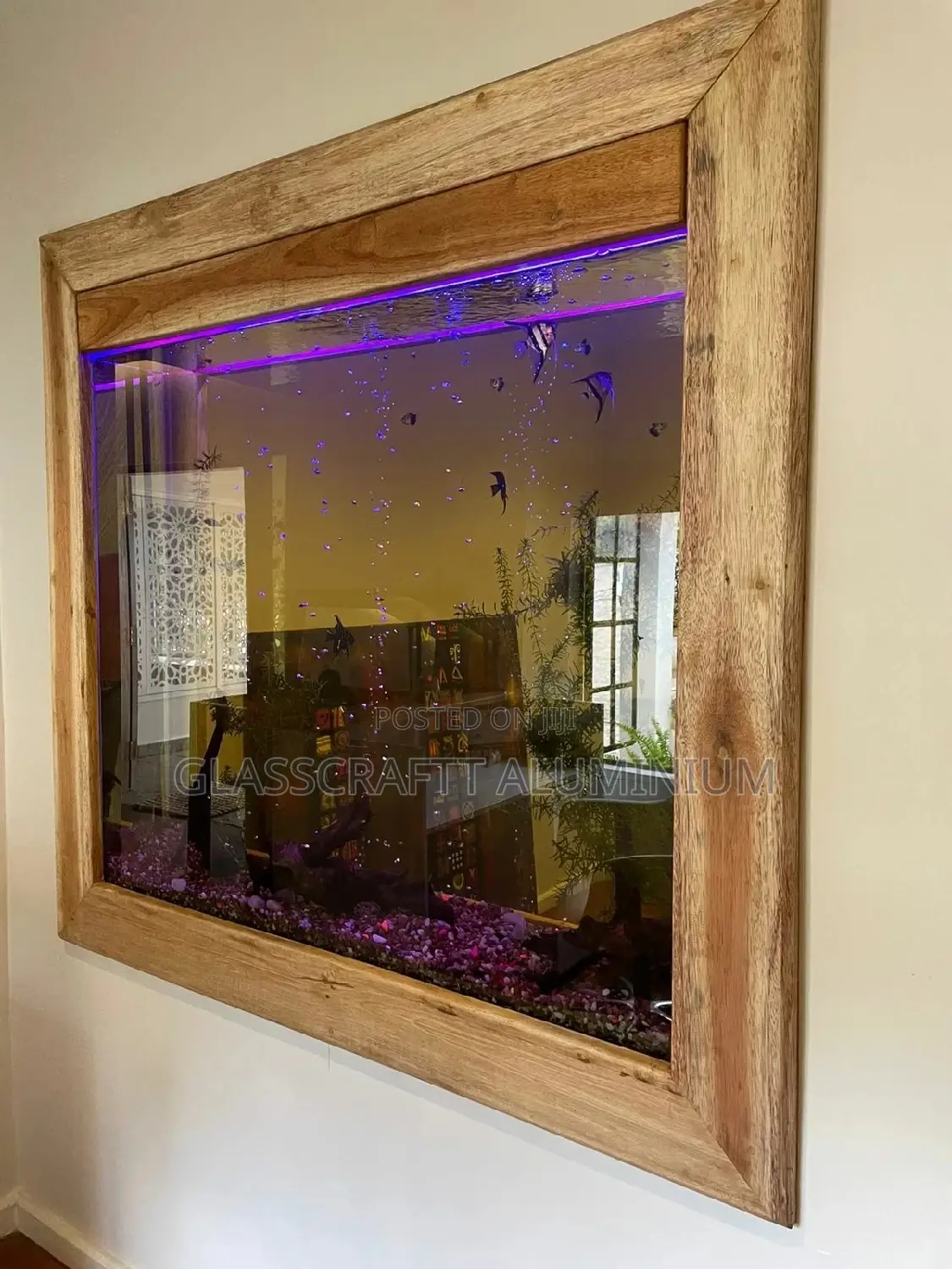 Aquariums Tanks