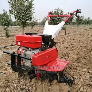 Hand Held Rotary Tiller