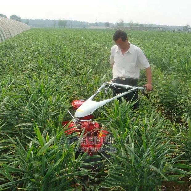 Diesel Horsepower Walking Tractor