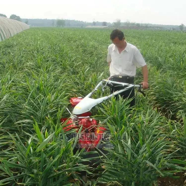 Diesel Horsepower Walking Tractor
