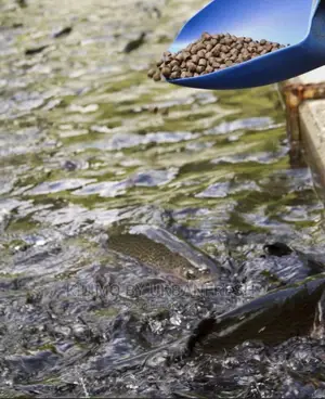 Tilapia Catfish Feeds :25kgs 3.0 - 4.0mm Pellets