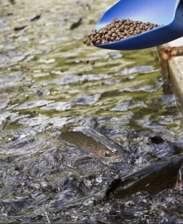 Tilapia Catfish Feeds :25kgs 3.0 - 4.0mm Pellets