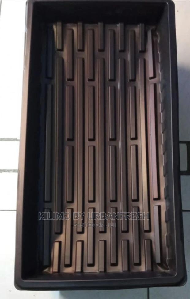 Plastic Hydroponic Fodder Trays - main view